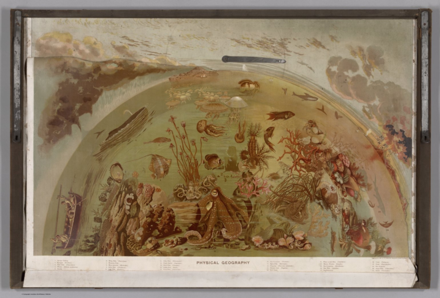 Bild für den Glossar-Begriff